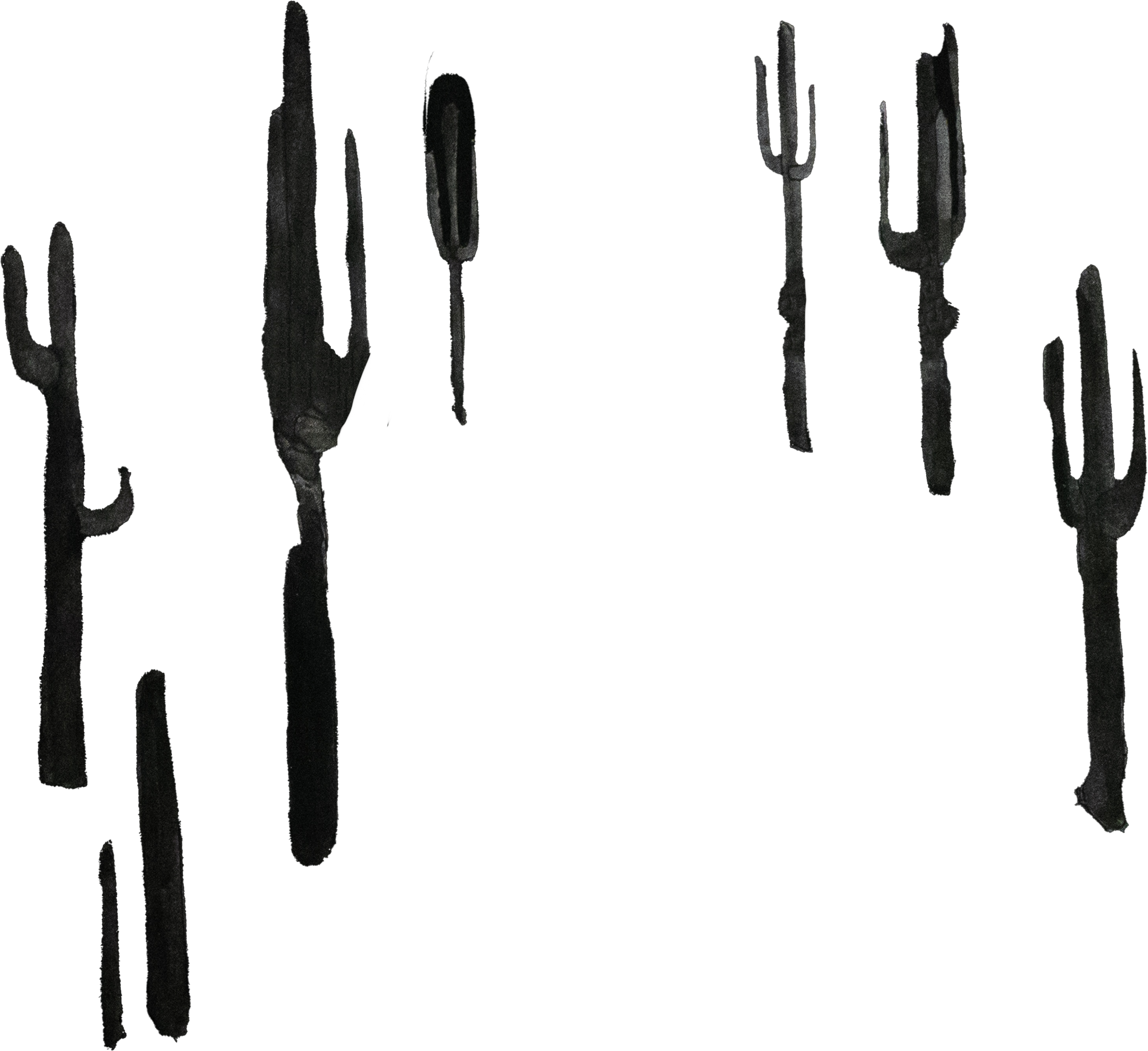 Arizona Dream cactus background
