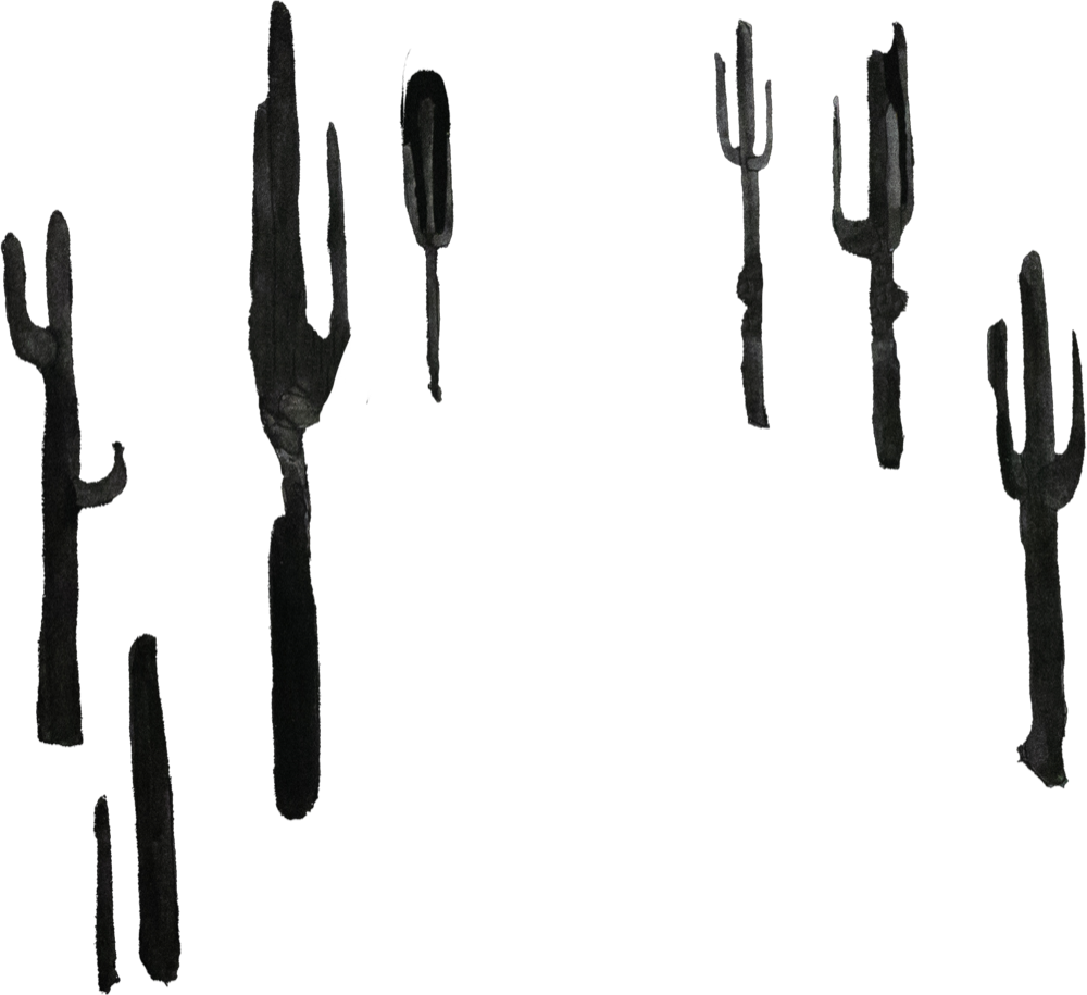 Arizona Dream cactus background