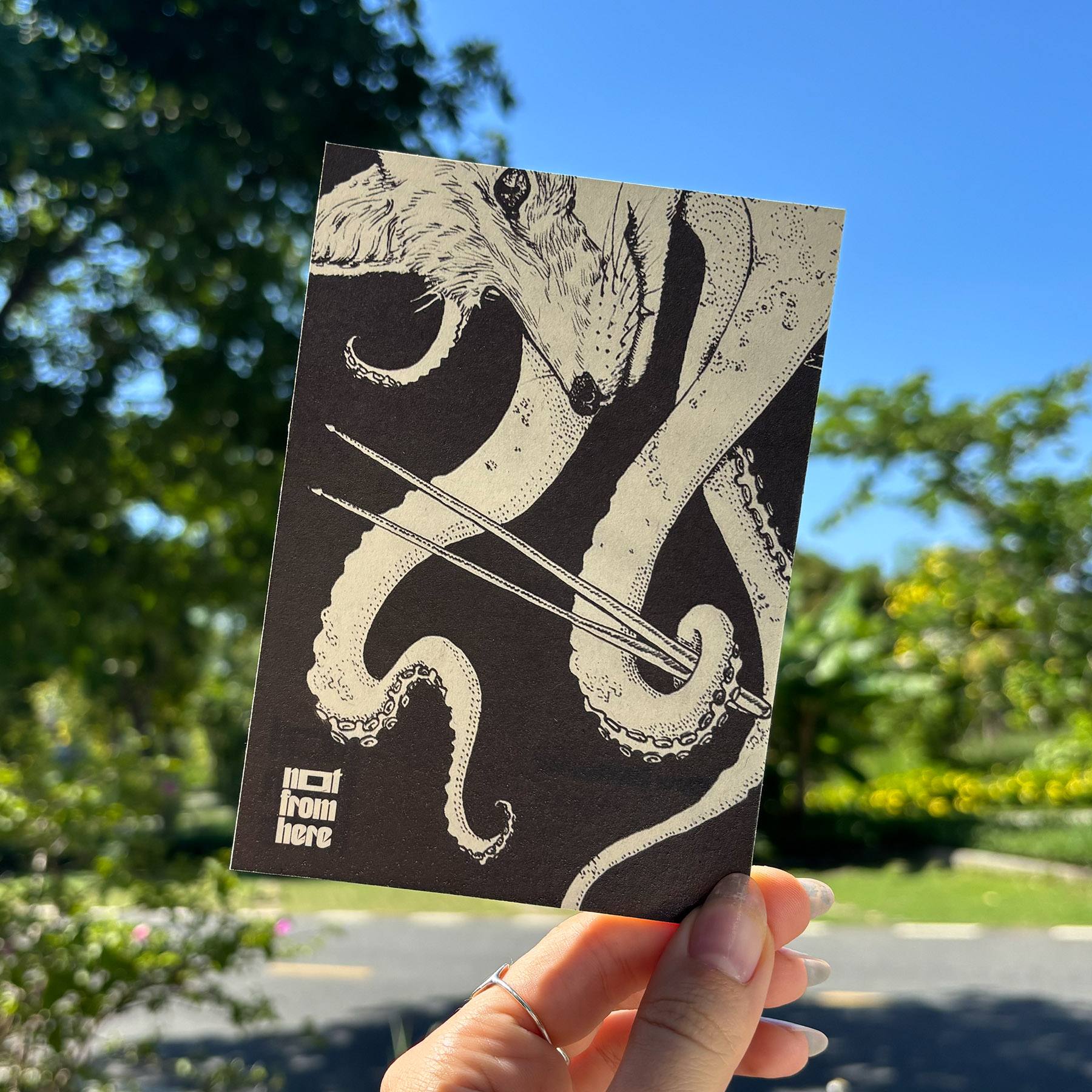 Foxoctopus postcard